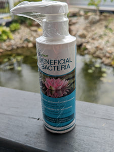 Aquascape Beneficial Bacteria 8oz