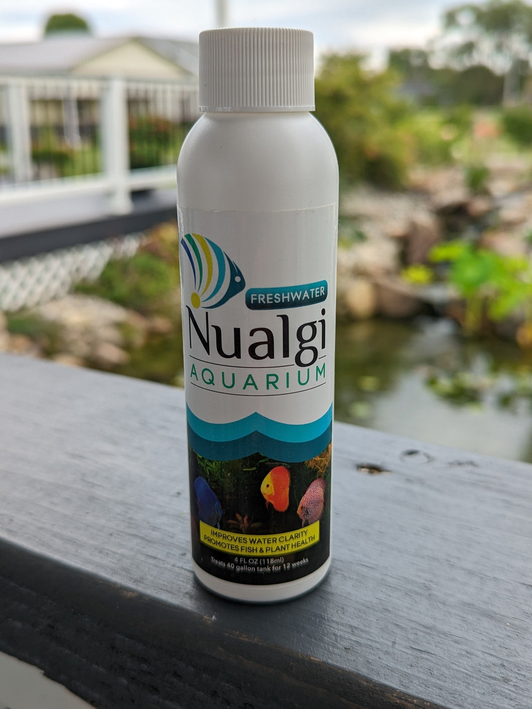 Nualgi aquarium freshwater